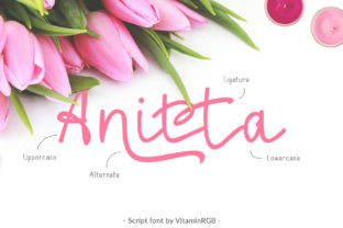Anitta Script: Elevating Digital Brand Identity