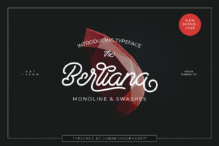 Berliana Script: A Typeface for Chic Brands