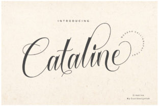 Cataline Script: A Designer’s Honest Review