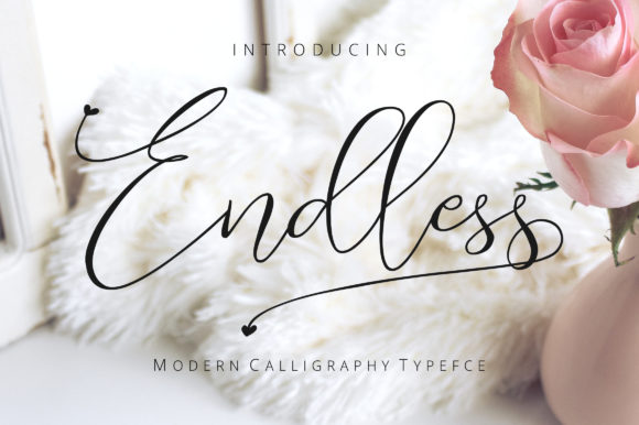 Endless Script: A Modern Typeface for Digital Elegance
