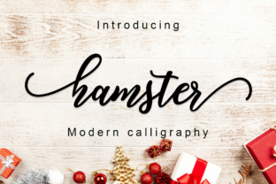 Hamster Script Font: A Web Designer’s Review