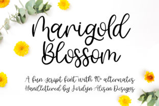 Marigold Blossom Font Review for Web Design