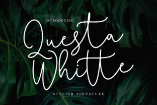Questa Whitte Script: A Fresh Typeface for Branding